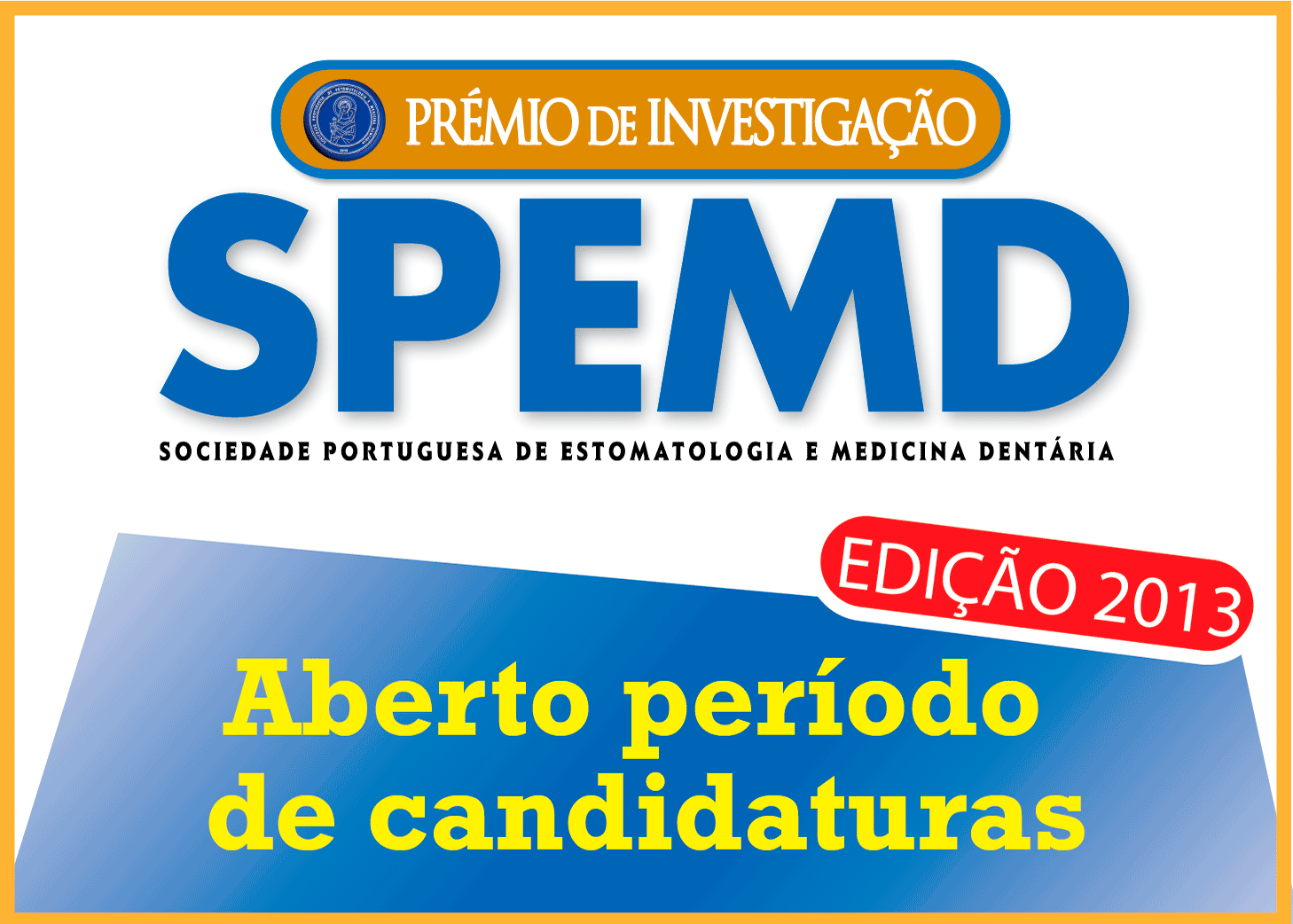 Premio de Investigação 2013